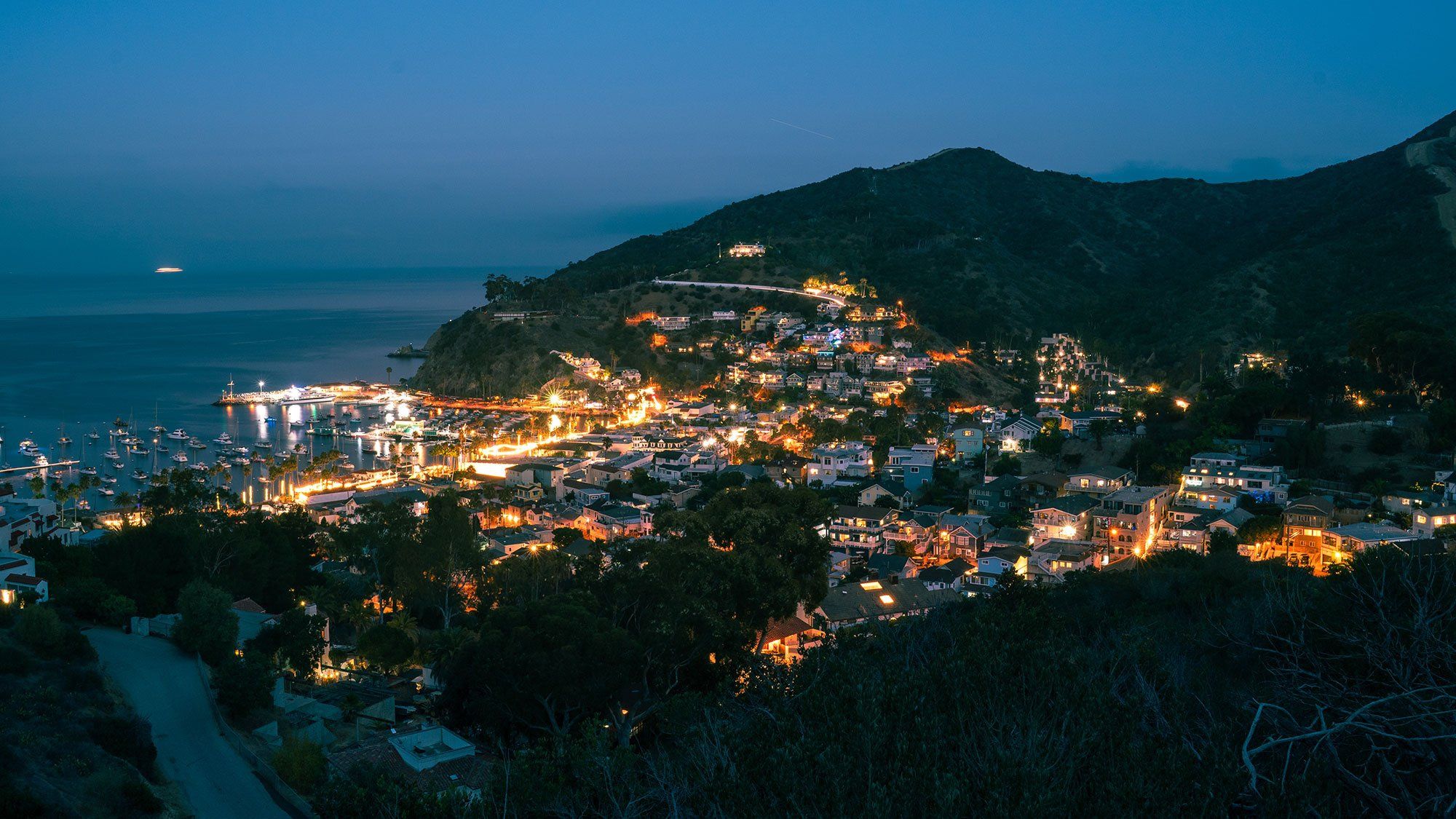 Avalon at blue hour from the hills above: the town's lights curve around the harbor, boats at anchor, dark hills rising behind.